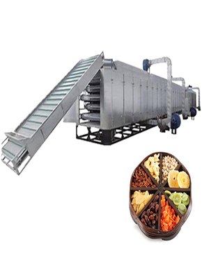 Continuous Type Dryer